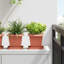  Square Flower Pot 6 Pcs Plastic-354333275-354333276