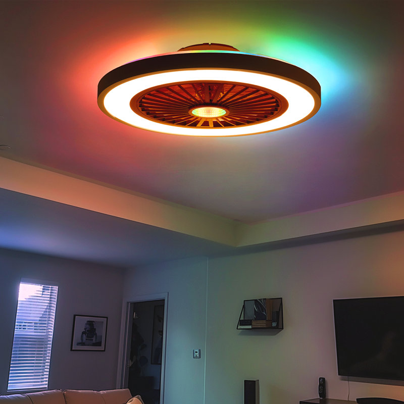 Keiyona 22'' Enclosed Kids Ceiling Fan with Light and Remote, RGB Multicolor Nightlight/Backlight, Black
