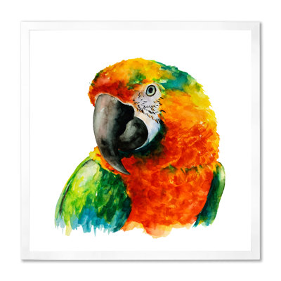 " Parrot Head Illustration "