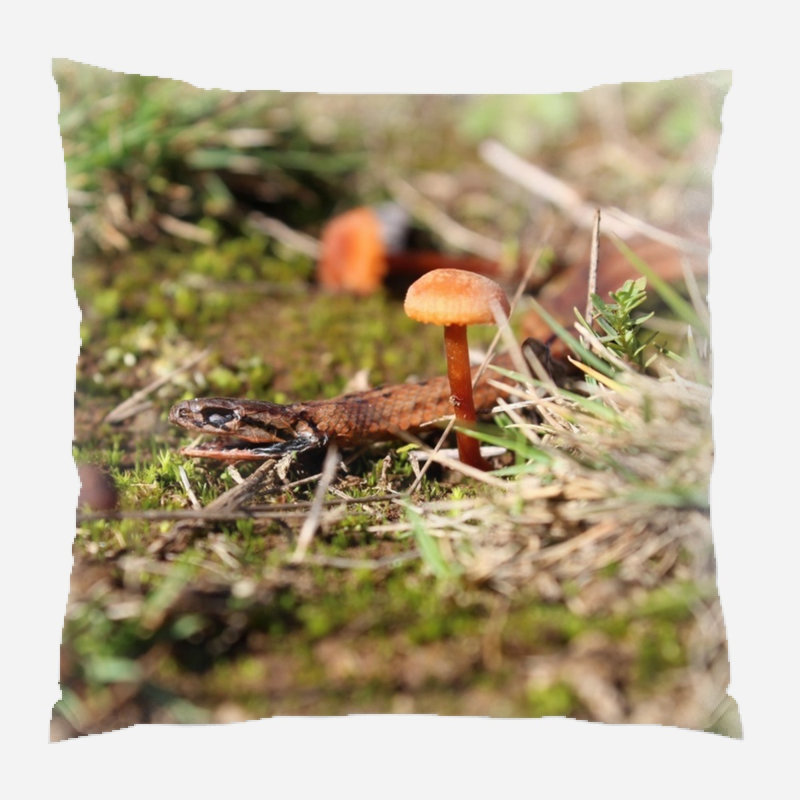 Coussin décoratif en serpent, Intérieur