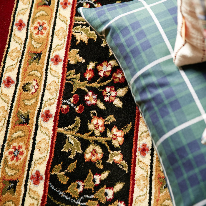 Klose Performance Oriental Rug