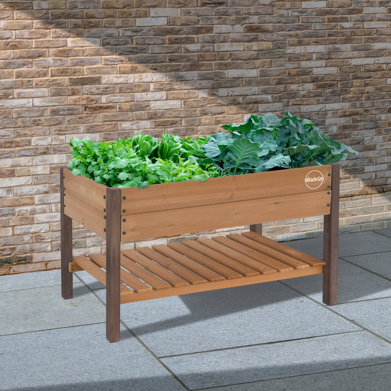 Miracle-Gro Wood 2 X 4 Ft. Raised Garden Planter With Shelf, 28" H x 46" W x 24" D