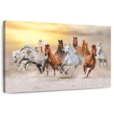 Brampt, chevaux dans le désert