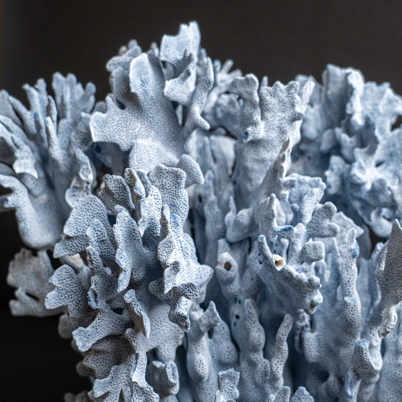 Genuine Blue Ridge Coral (16", 18.5 Lbs)