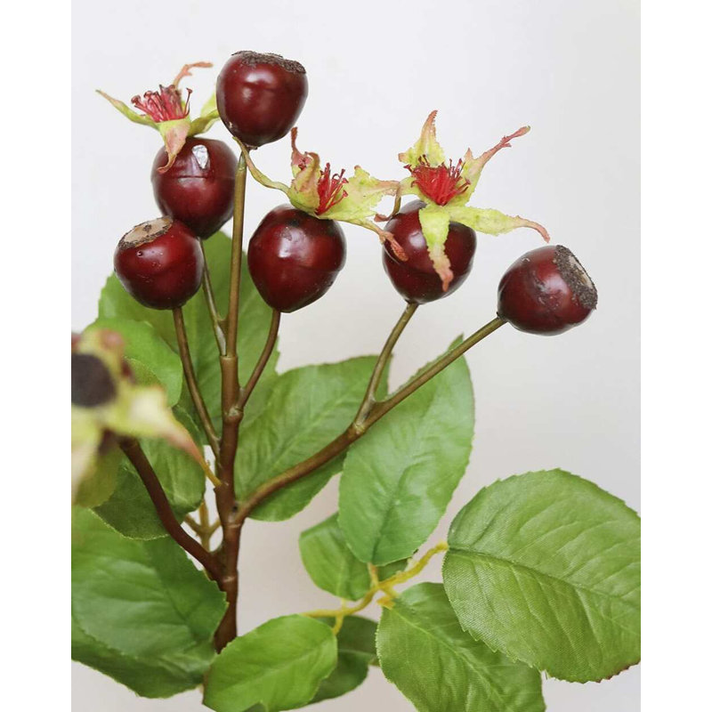 Artificial Montana Rose Hip 23.5", Red, 18" H x 6" W