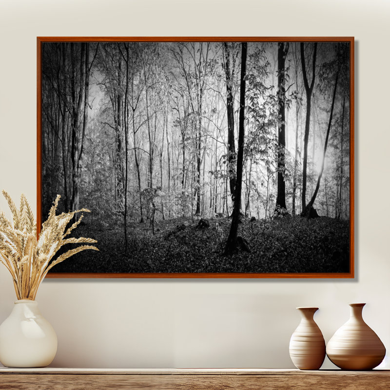«Beautiful Forest Morning Panorama», reproduction, Cadre flottant brun, H 24 po x l 32 po