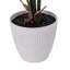 18 plantes
