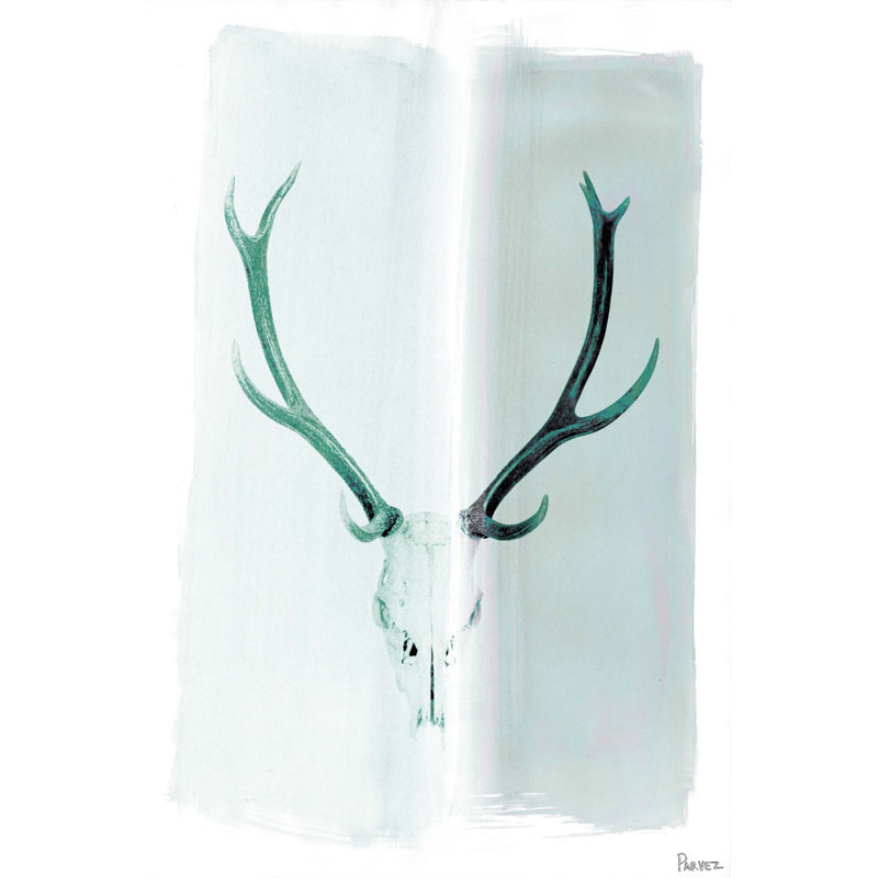 Parvez Taj - Wrapped Canvas Print, 61cm H x 41cm W
