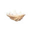 Unreal Cast Clam Shell Bowl-1348115431