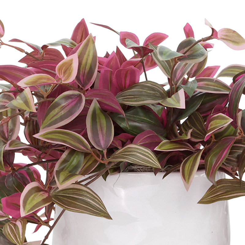 Tradescantia Zebrina Arranged In Ceramic Vase, Green/Red, 14"H x 26"W x 17"D