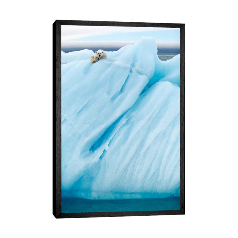 Observing by Joan Gil Raga - Print on Canvas, Black Framed, 66.04cm H x 45.72cm W x 3.81cm D