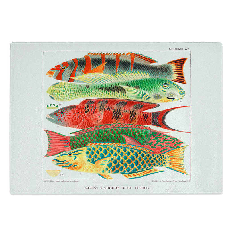 Glass Great Barrier Reef Fishes by W. Saville-Kent Chopping Board, 39 cm W x 28.5 cm L