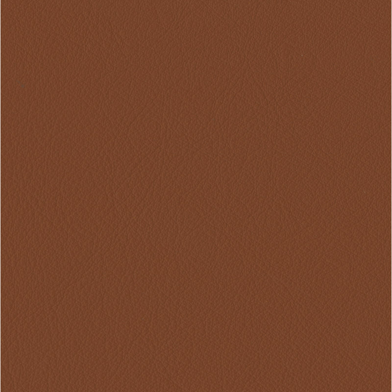 Elan Saddle Sample