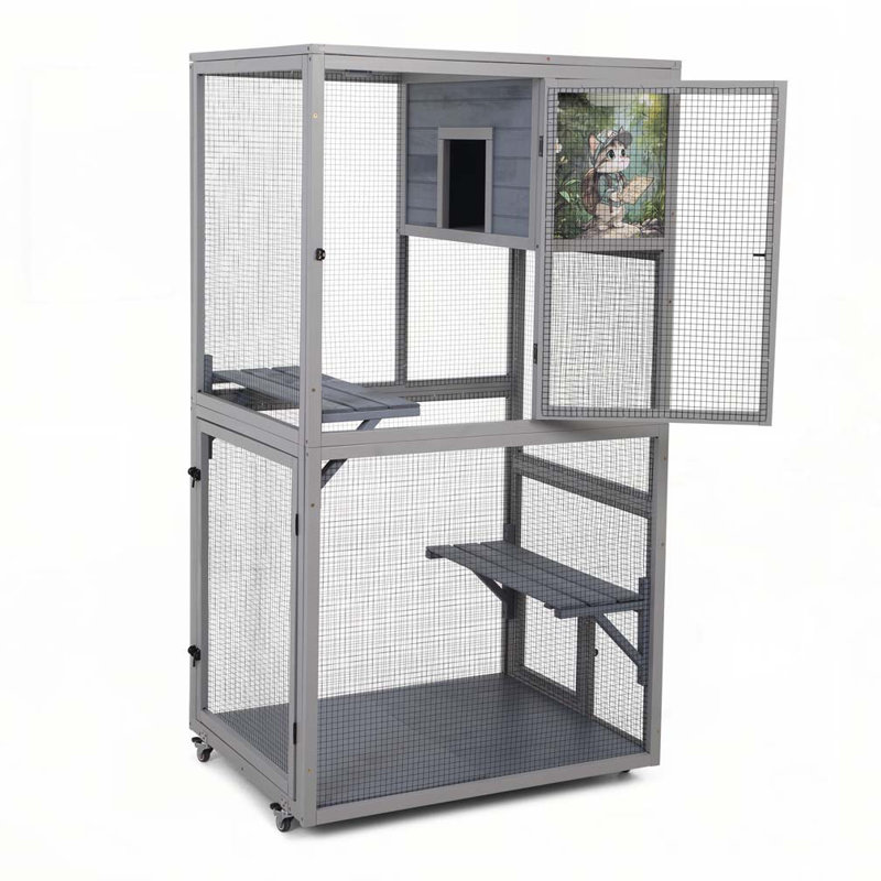 Enceinte d'extérieur pour chat Catio
