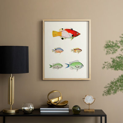Colorful Tropical Fish I Framed Print - Solid Wood