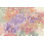 " Intimate Freesia " by Chris Paschke