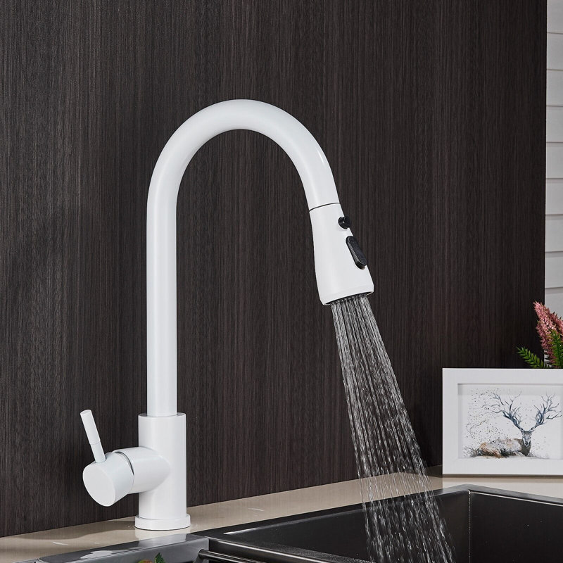 Belfry Kitchen Thomasina Kitchen Faucet