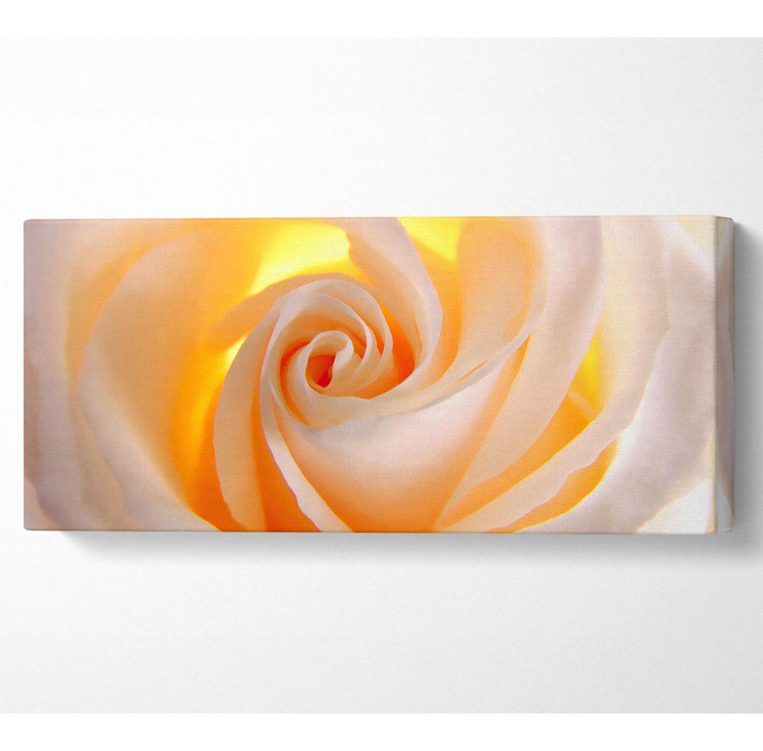 Weiche cremefarbene gelbe Rose Panoramaleinwand