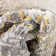 Well Woven Cairo Thalia Geometric Vintage Yellow Rug