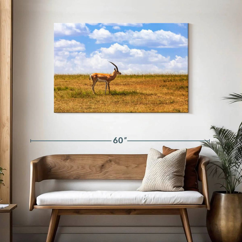 Gazelle Brampt dans la savane, H 30 po x l 45 po