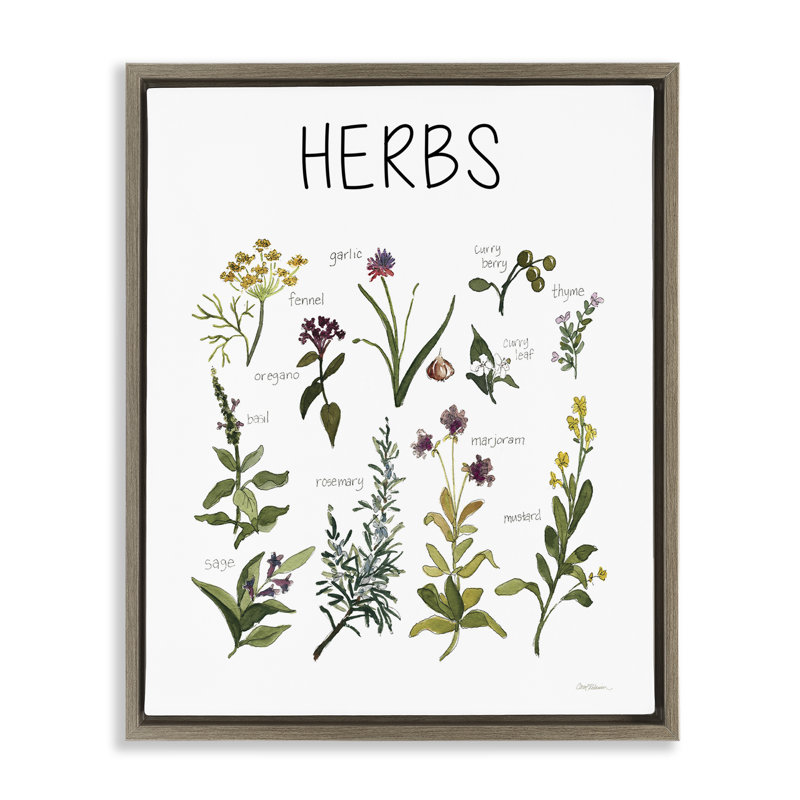 Herbs Identification Chart Floating Frame, design by Carol Robinson, Montalcino Elm Floater Framed, 21" H x 17" W