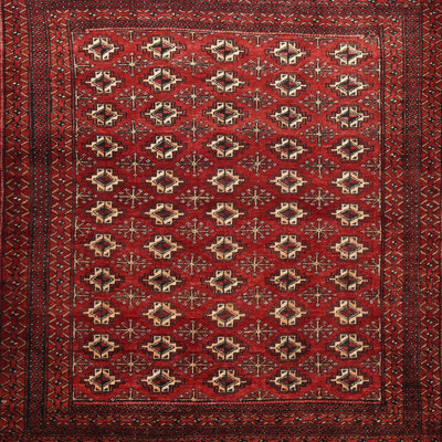 Southwestern Indoor Rug