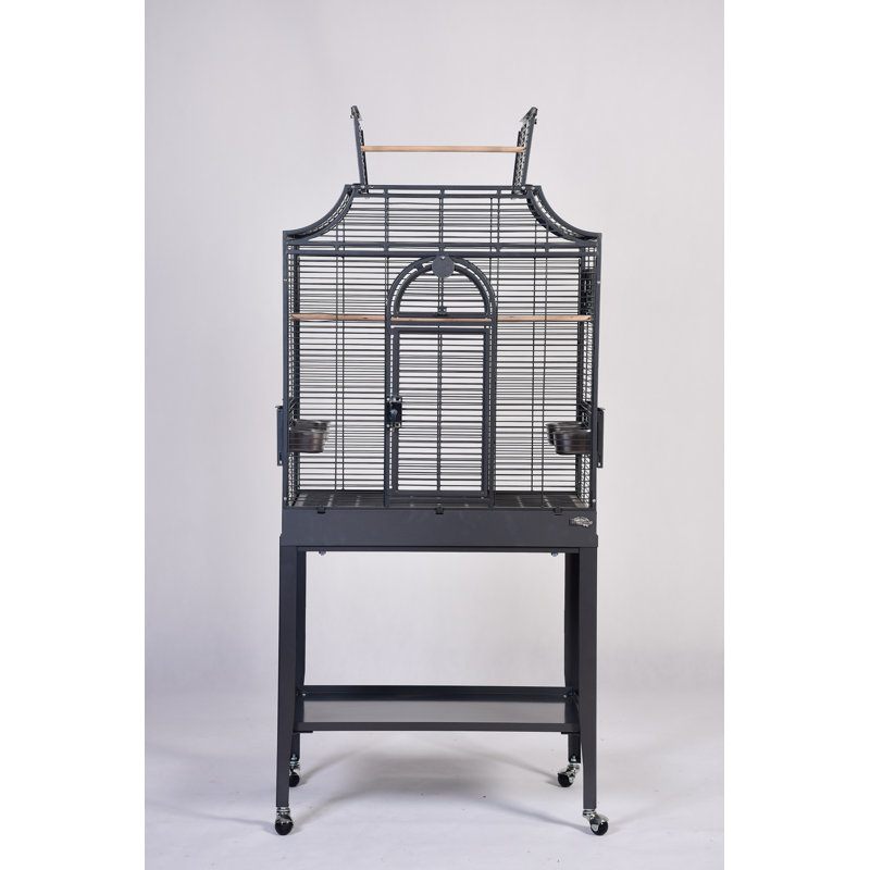 Cage de vol moyenne élégante par HQ, Noir