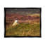 Lone Sheep in Meadow, campagne, campagne, par James Dobson - Photographie sur toile tendue-75444482-75444472