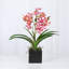 Faux Orchid Plant In White Vase-1049804021-1049804020