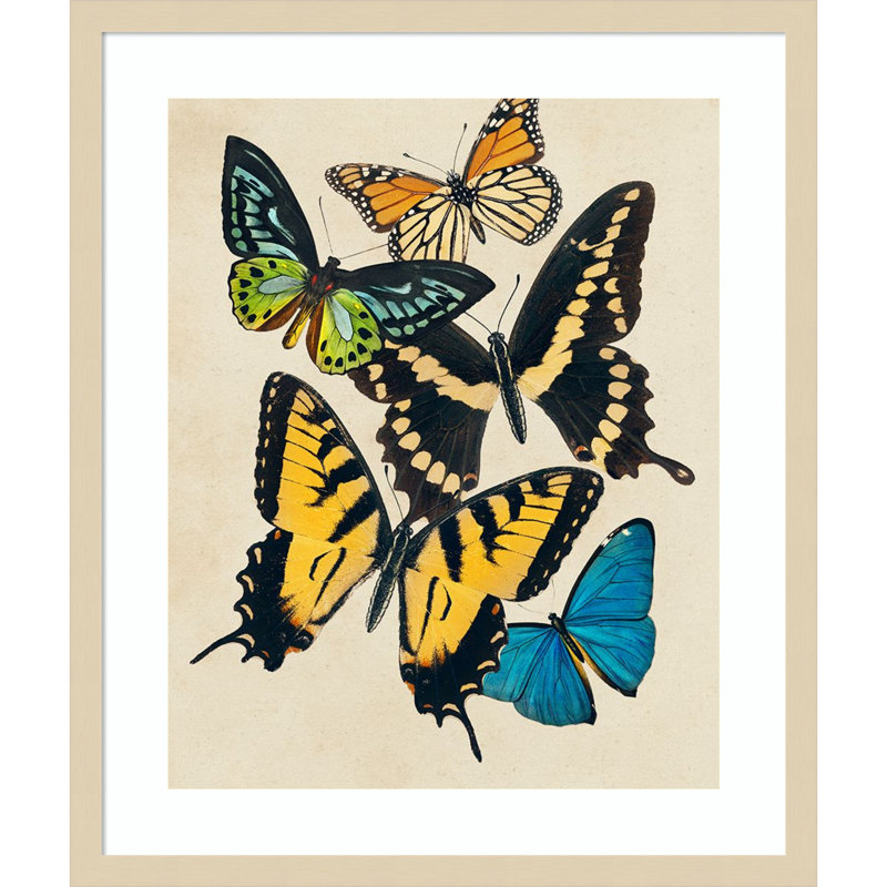 «Collage Butterflies II» par Victoria Barnes, impression sur bois encadrée, H 25 po x l 21 po