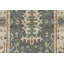 Oushak Oriental Area Rug in Green