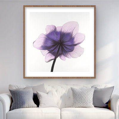 Magnifique fleur anémone mauve | Décoration intérieure encadrée