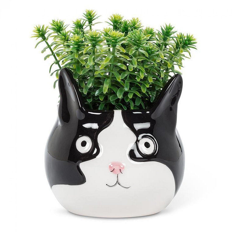 Pot à fleurs tête de chat, H 4 po x l 3 po x P 4 po