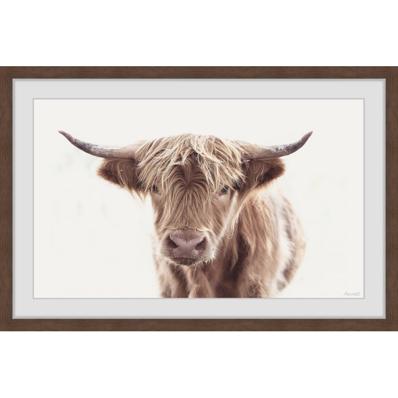 Hairy Face - Print, Brown Framed Paper, 20cm H x 20cm W x 3.81cm D