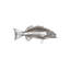 Animals Coral Trout Fish Wall Décor