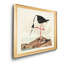 «Long Legged Avocet», reproduction d'art sur toile encadrée-2063429955-2063429954