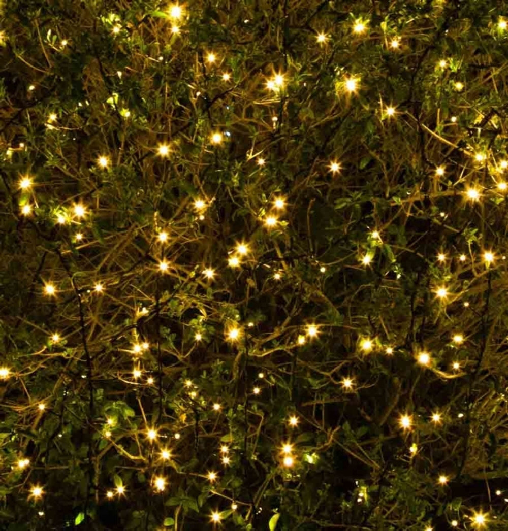 50 SOLAR WARM WHITE LED MULTI FUNCTION LIGHTS