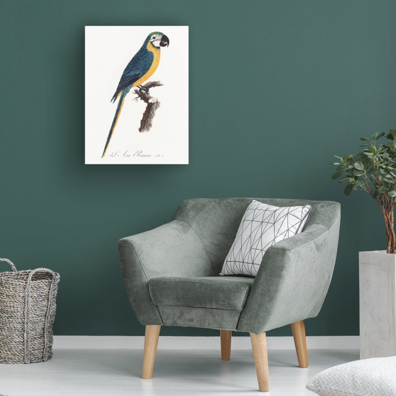 "Ologiste Perroquet I "sur toile, H 19 po x l 14 po