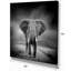 «African Elephant in Dark Artwork», reproduction d'impression sur toile tendue-29496720