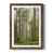Walnut Framed