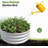 2PCS 32.08"*11.4" Tall Round Raised Garedn Bed,Metal Raised Beds For Vegetables, Outdoor Garden Raised Planter Box, Backyard Patio Planter Raised Beds For Flowers, Herbs, Fruits Silver-48496178-48496176-48496182