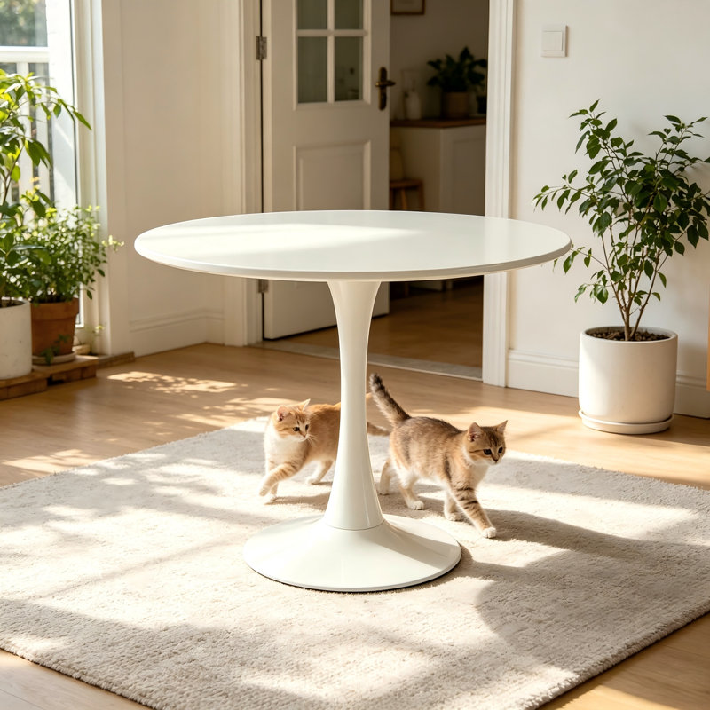 Table de salle à manger ronde 31,5 po blanche, table basse polyvalente pour la cuisine et le salon, Blanc
