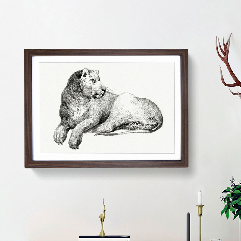 Young Lion by Jean Bernard - Picture Frame Drawing Print, 48cm H x 65cm W x 2cm D, Walnut Framed