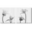 Film X-Ray Gros plan sur fleur encadrée sur toile, 2 pièces-88315293-88315294