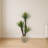 Yucca Artificial Tree in Sandstone Planter-501122167