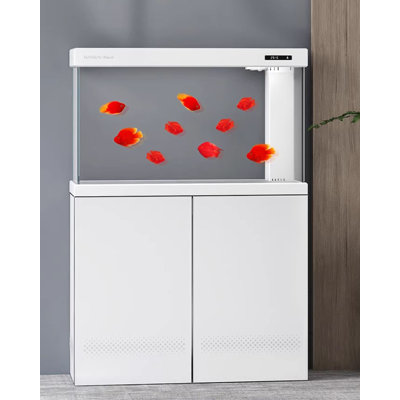 Réservoir d'aquarium simple et moderne