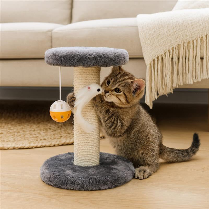 Scratching Post
