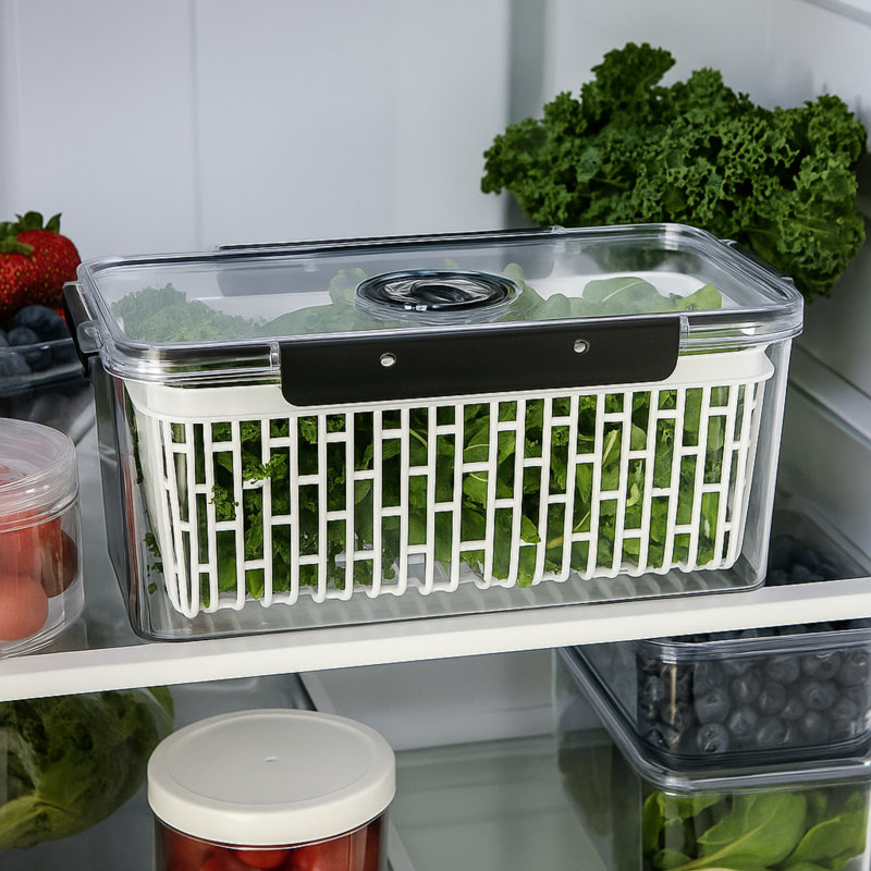 Large Produce Keeper w/Adjustable Date - 13x7x5.75˝