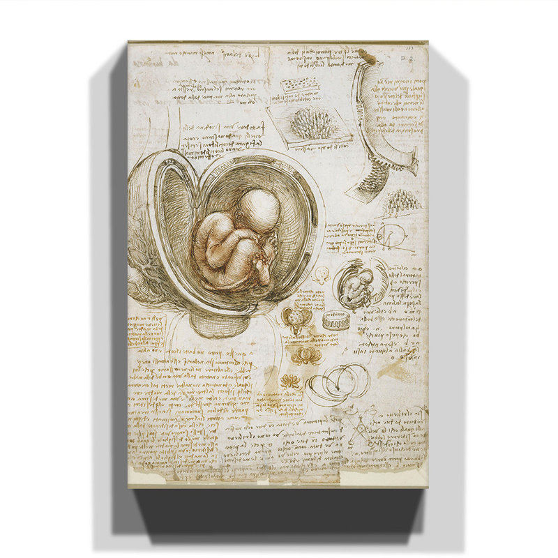 Leonardo Da Vinci - Wrapped Canvas Painting, 60cm H x 40cm W
