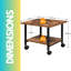 2-Tier Printer Cart with Storage Shelf